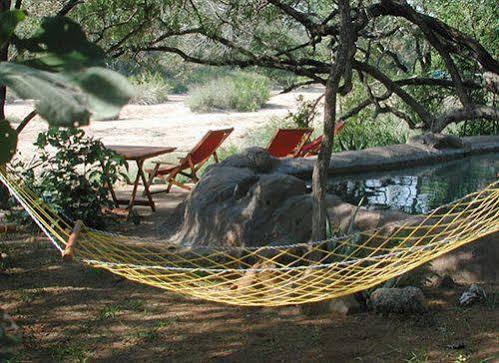 Umlani Bushcamp * Timbavati Game Reserve