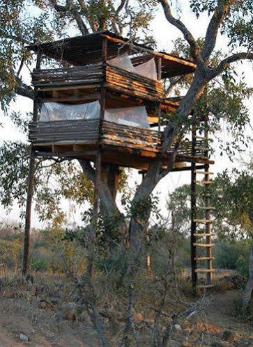 Umlani Bushcamp Lodge *