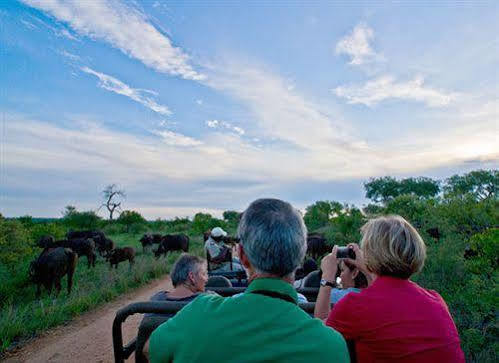 Umlani Bushcamp Timbavati Game Reserve